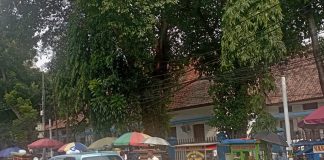 Tanpa Solusi, Bina Marga dan Dishub Jakpus Gusur PKL Depan Kampus UKI Jalan Diponegoro