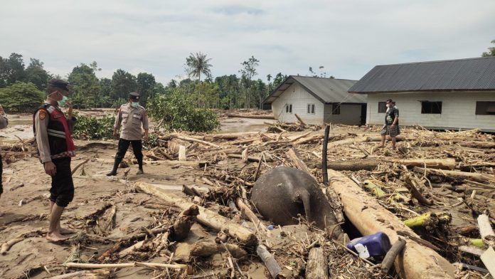 Seekor gajah ditemukan mati dalam tumpukan kayu dalam suasana bencana di Meredu, Aceh. Foto dok JGN Aceh