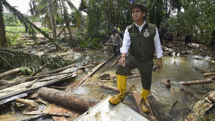 Ilustrasi - Menteri Kehutanan Raja Juli Antoni berdiri di atas tumpukan kayu yang hanyut saat meninjau proses pencarian korban banjir bandang di Pasak Kayu, Nagari Salareh Aia, Palembayan, Agam, Sumatera Barat, 30 November 2025.(Foto: Antara/Wahdi Septiawan)