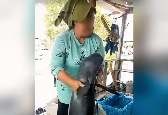 Gambar dari sebaran video memperlihatkan seorang wanita sedang mempermainkan satwa mamalia diduga Pesut Mahakam, Senin (12/1). (Foto istimewa)