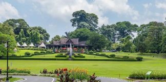 Diakui ASEAN, Kebun Raya Bogor Jadi Model Wisata Konservasi Perkotaan Kebun Raya Bogor (Foto: Istimewa)