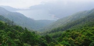 Indonesia Perkuat Aturan Perdagangan Karbon Hutan Lewat Permenhut 6/2026 Ilustrasi hutan. (Foto: Freepik)