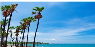 400 Wisman Kapal Pesiar Oceania Vista Kunjungi Destinasi Wisata di Kupang NTT Ilustrasi- Keindahan Pantai Lasiana, Kota Kupang, NTT. (Foto: Indonesia Kaya)