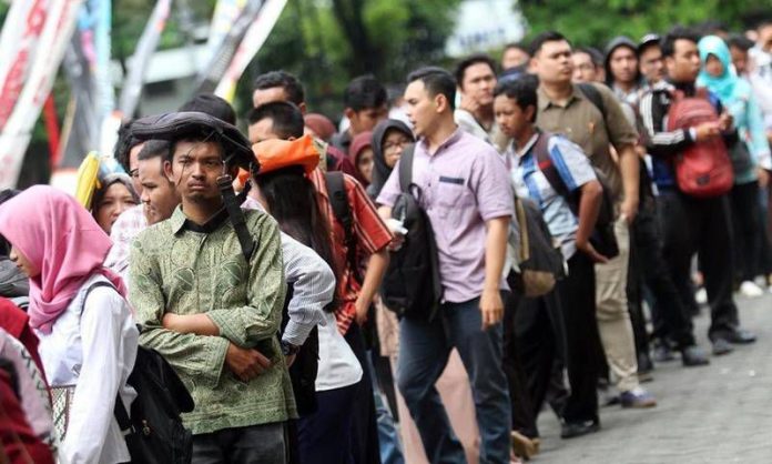 Ilustrasi- Pencari Kerja (Foto: Istimewa)