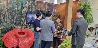 Produk Tanaman Hias RI Laris di Pameran Horticulture Goyang Korea Selatan, Potensi Transaksi Capai Rp17,05 Miliar Perwakilan pelaku industri berdiskusi dengan mitra internasional di booth florikultura Indonesia pada International Horticulture Goyang, Korea Selatan