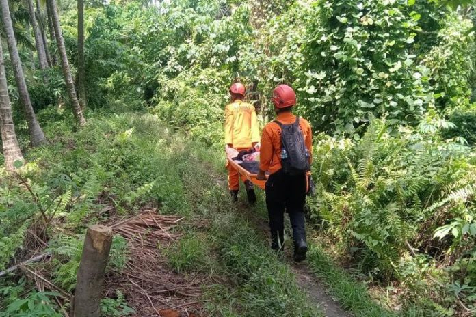 Tim SAR gabungan melakukan evakuasi pendaki yang menjadi korban saat gunung api Dukono mengalami erupsi setinggi 10.000 meter pada Jumat (8/5/2026).(HUMAS BASARNAS TERNATE)