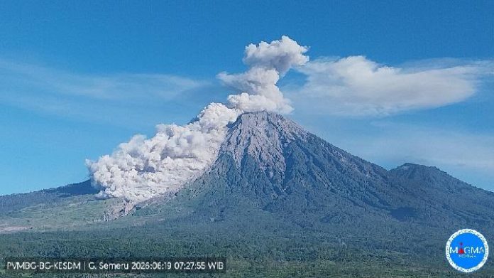 Erupsi Gunung Semeru pada Jumat, 19 Juni 2026, pukul 07:21 WIB. (PVMBG)