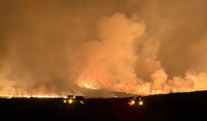 Kebakaran hutan dan lahan (karhutla) yang meluas dan melanda kawasan Gunung Bromo, Jawa Timur, Sabtu (8/8/2026). Foto: Balai Besar TNBTS