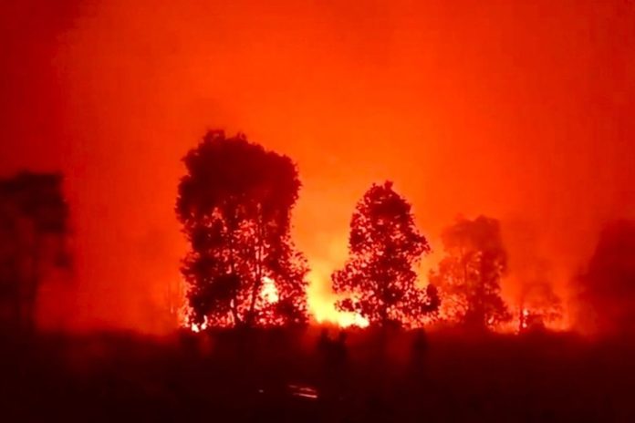 Tangkapan layar suasana kebakaran di Taman Nasional Way Kambas (TNWK), Jum'at (21/8/2026) malam(Foto: Istimewa)