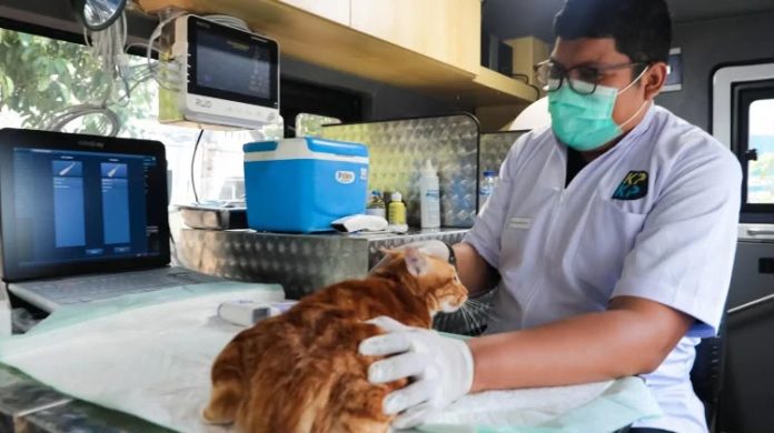 Ilustrasi - Mobil Klinik Hewan Keliling Pemprov DKI Jakarta. (Foto: jakarta.go.id)