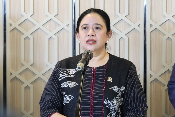 Ketua DPR RI Dr. (H.C.) Puan Maharani (Foto: istimewa)