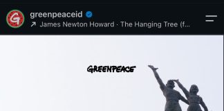 11 Aktivis Greenpeace Diamankan Polisi Usai Bentangkan Spanduk di Bundaran HI, Apa yang Sebenarnya Terjadi? Sumber : Instagram @greenpeaceid
